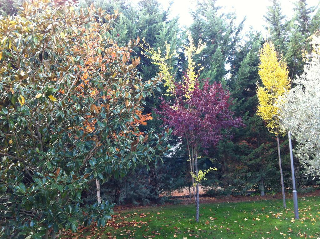 La Alberca Villa Palencia Kültér fotó
